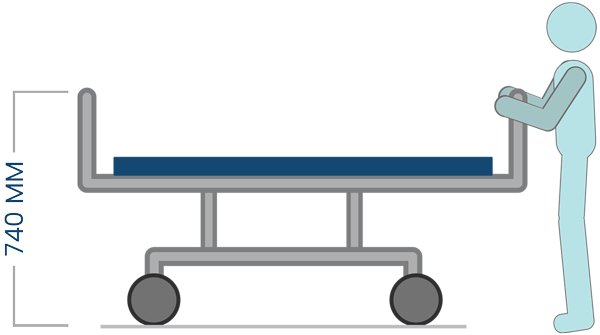 EXAMINATION HEIGHT